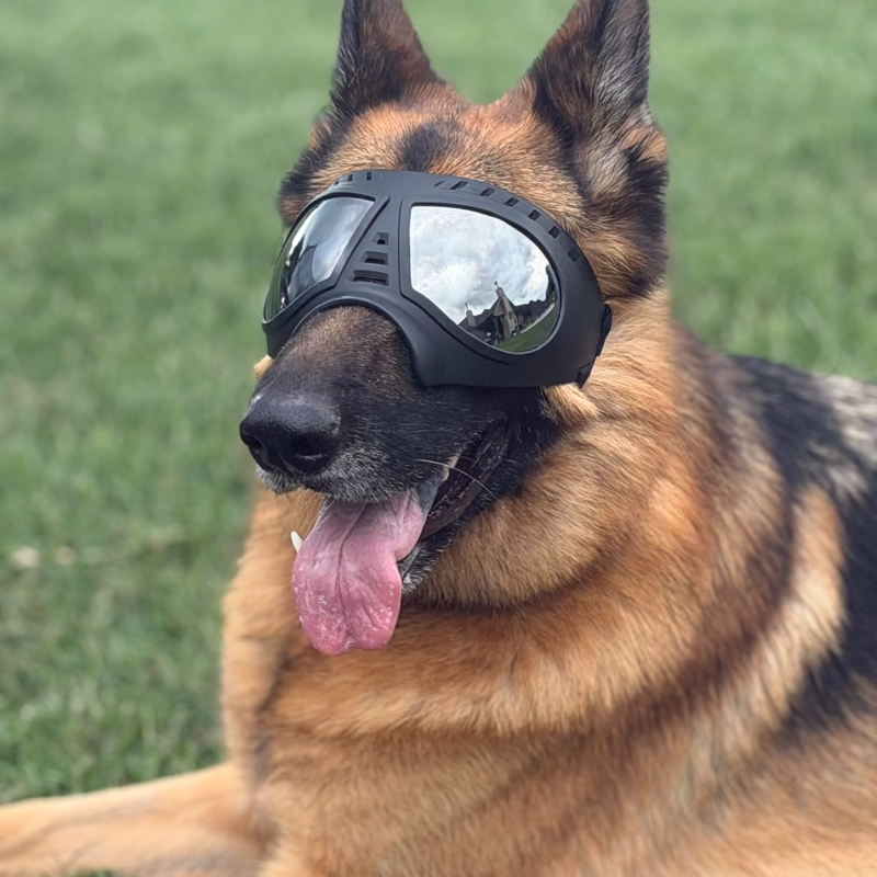 Pet Glasses for Medium Large-s - Snow Goggle Uv บทวิจารณ์และราคา