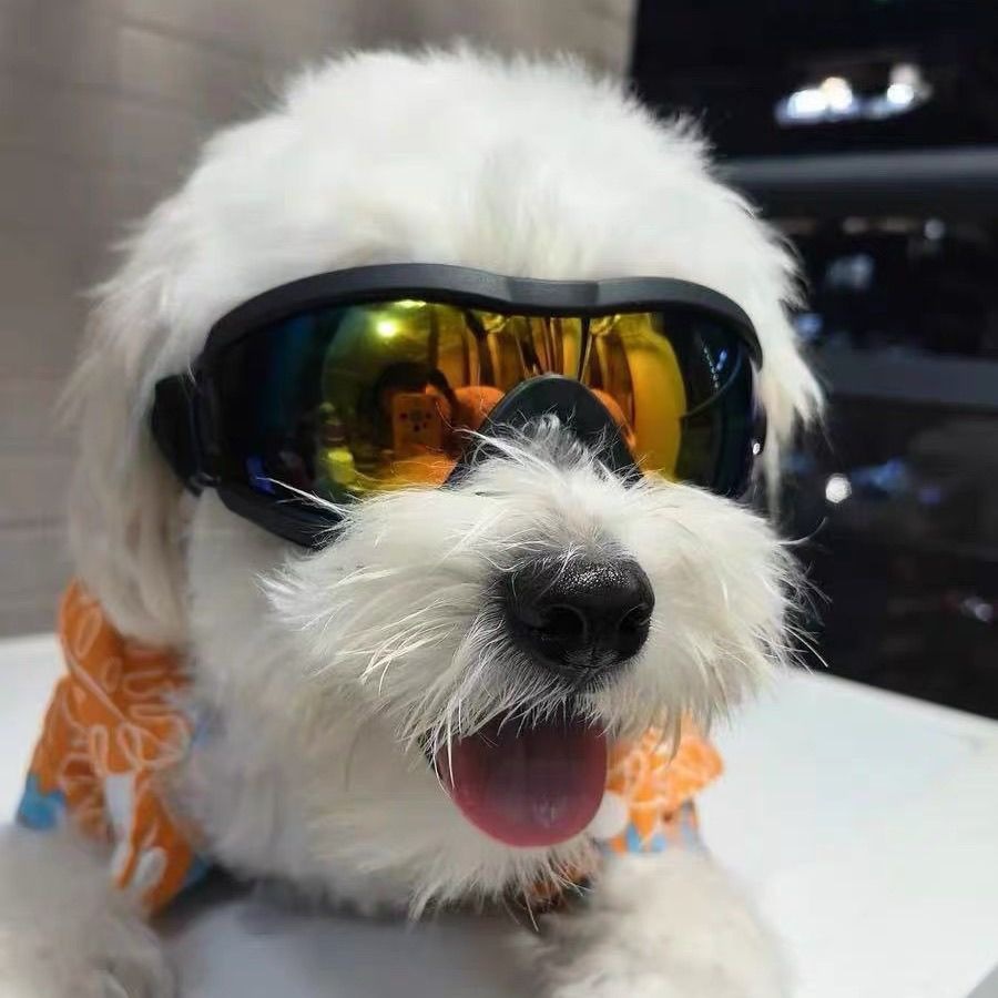 Adjustable TPU Dog Sunglasses  - Snow Goggle Uv บทวิจารณ์และราคา