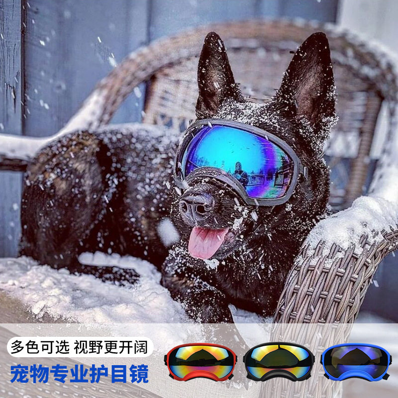 Dog Goggles Outdoor Skiing Win - Snow Goggle Uv บทวิจารณ์และราคา