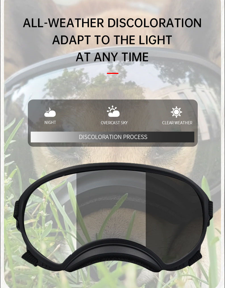 Color changing pet glasses dog - Snow Goggle Uv บทวิจารณ์และราคา